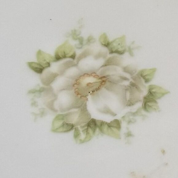 Vintage Moravia Porzellan Austria Porcelain
Plate with Floral Design - Picture 2 of 7